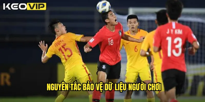 Chính Sách Bảo Mật kèo nhà cái bg - Bảo Vệ Tuyệt Đối Thông Tin Cược 1 Nguyên tắc bảo vệ dữ liệu người chơi